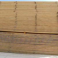 dscn0004.jpg